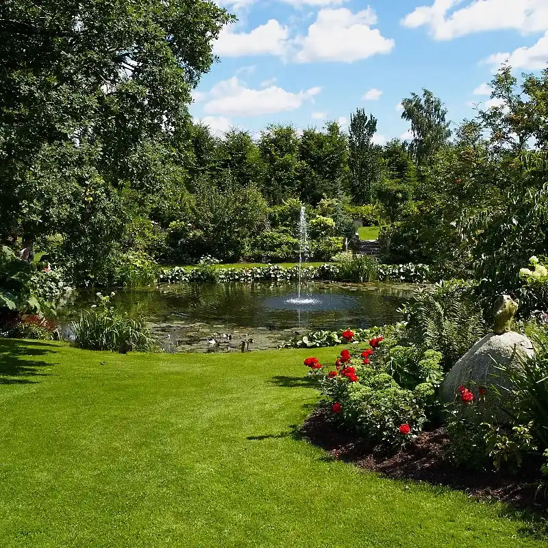 Ujumistiigid Disain Ehitus Ökobasseinid Tiigid - IMG 03