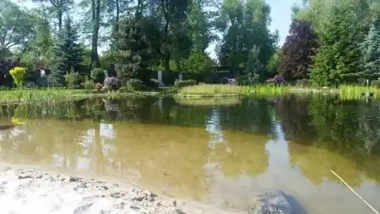 Vannitiikide disainkonstruktsioon - Dekoratiivsed tiigid