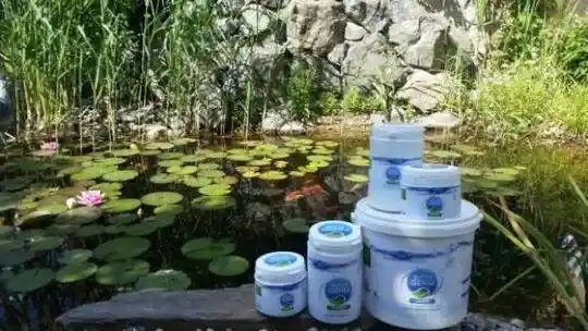 Vannitiikide projekteeritud ehitus – tiikide ettevalmistused