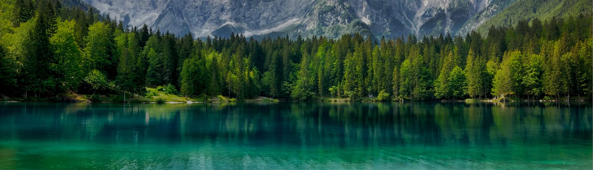 Vannitiikide disain - slaid 03